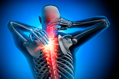 Physical Therapy Brickell, FL - Back & Neck Pain Treatment